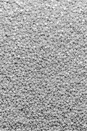 Stars - Glimmer Silver (Mini) Sprinkles Sprinkly