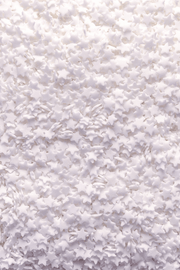 Stars - Matt White (Vegan) Sprinkles Sprinkly