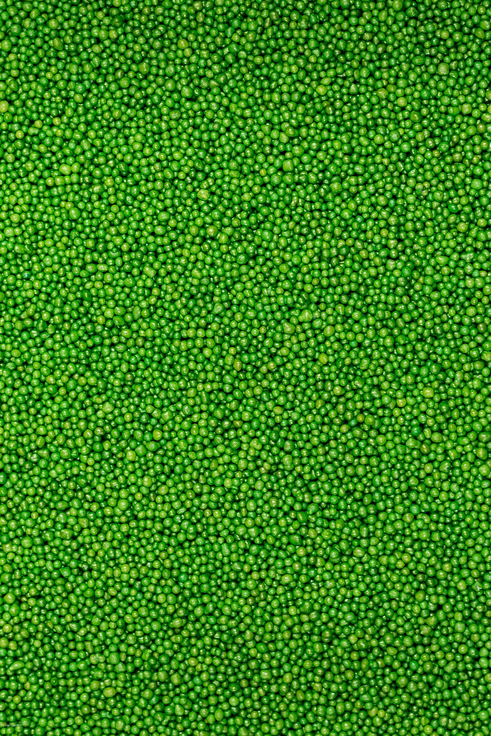 Glimmer 100's & 1000's - Green (No E171) Sprinkles SPRINKLY