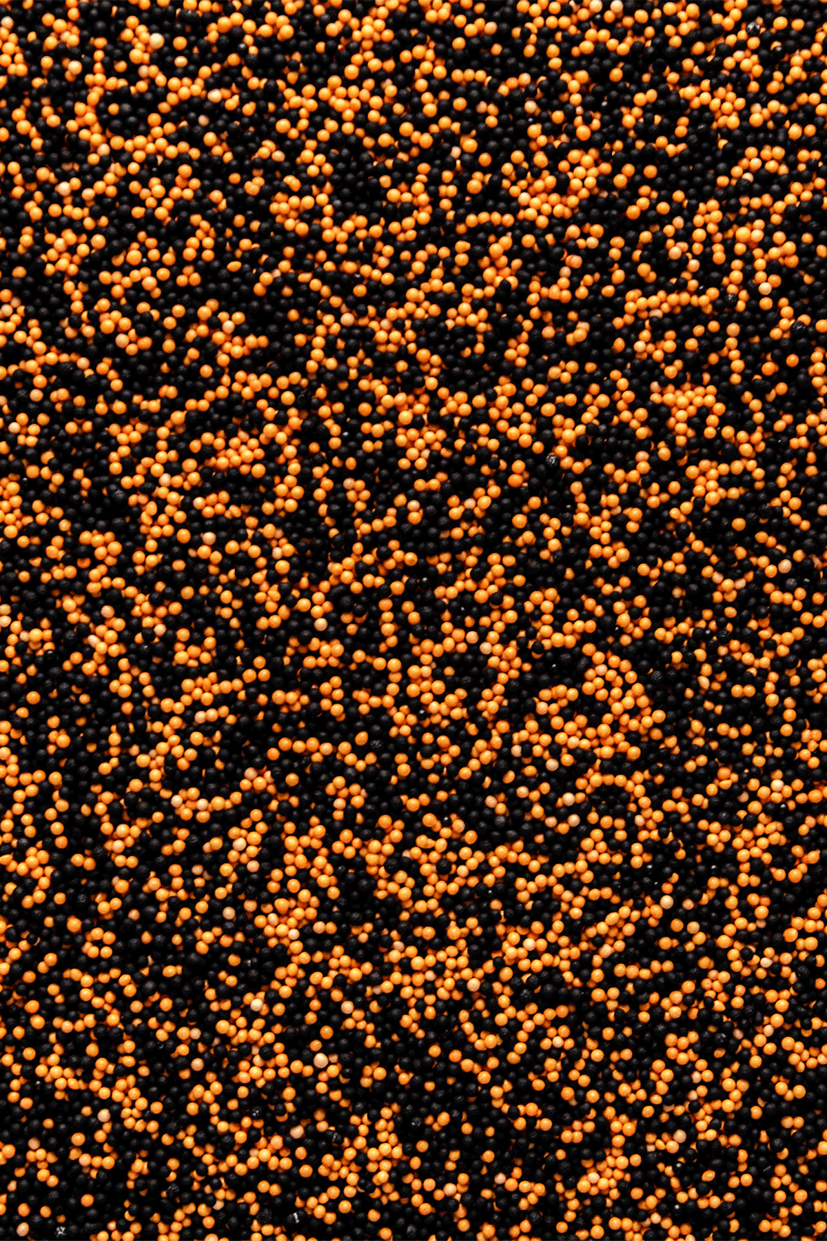100's & 1000's - Black & Orange Sprinkles SPRINKLY