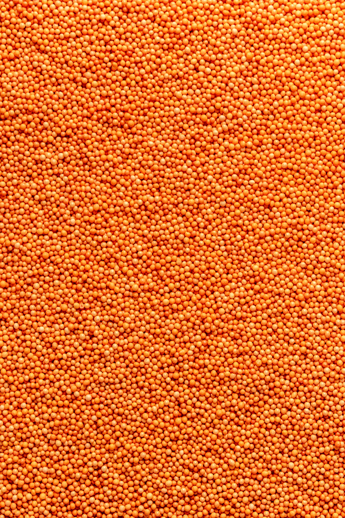 100's & 1000's - Orange Sprinkles SPRINKLY