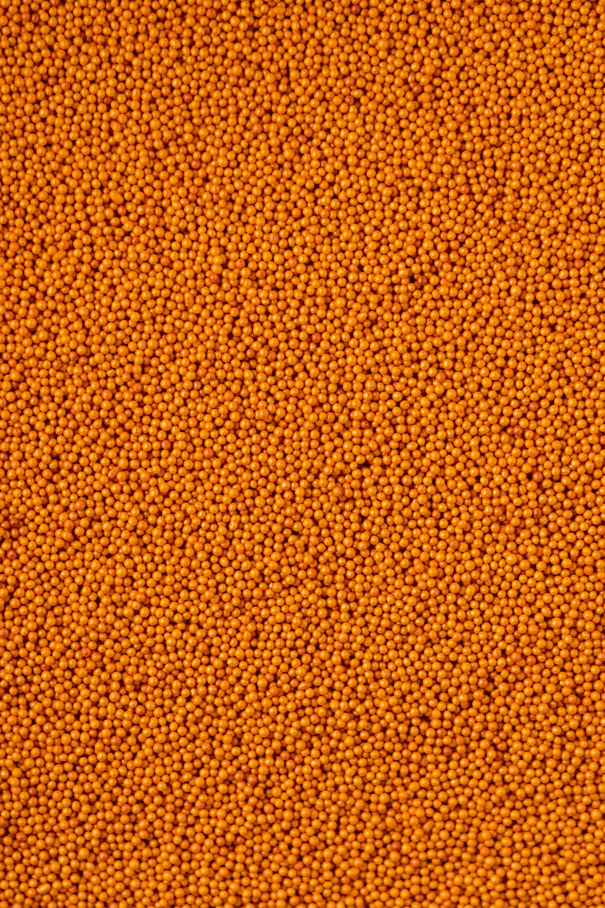 Glimmer 100's & 1000's - Orange Sprinkles Sprinkly