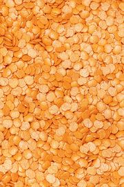 Sprinkle Shapes - Pumpkin 🎃 - 25g Sprinkly