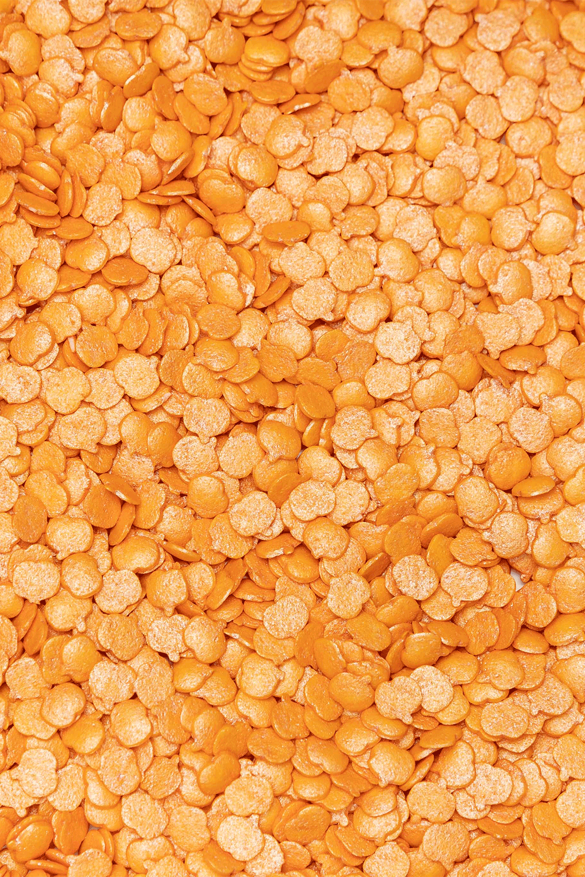 Sprinkle Shapes - Pumpkin 🎃 - 25g Sprinkly