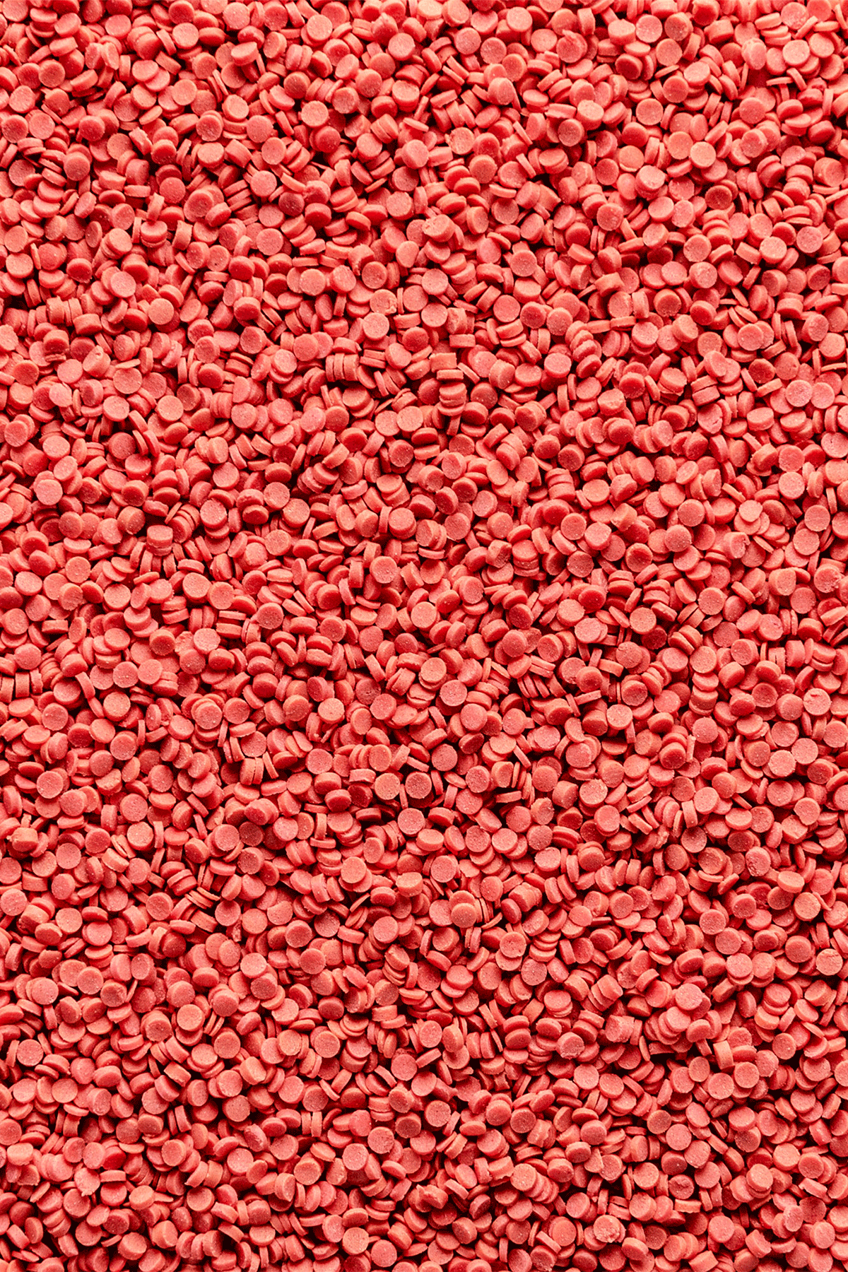 Sugar Confetti - Red Sprinkles Sprinkly